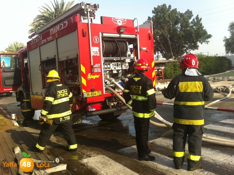 fireludkartoonmasna34 (55).JPG